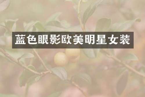 蓝色眼影欧美明星女装