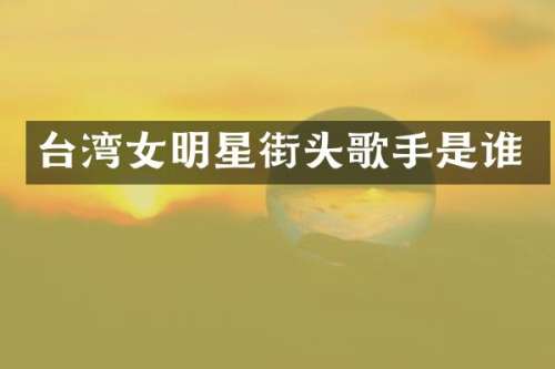 台湾女明星街头歌手是谁
