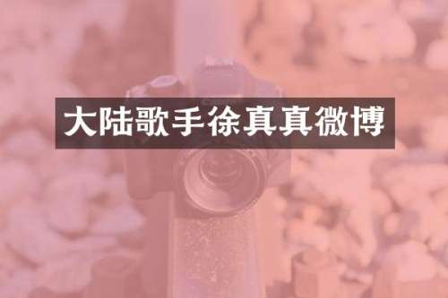 大陆歌手徐真真微博
