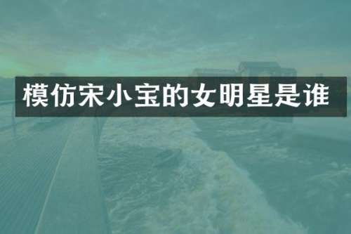 模仿宋小宝的女明星是谁