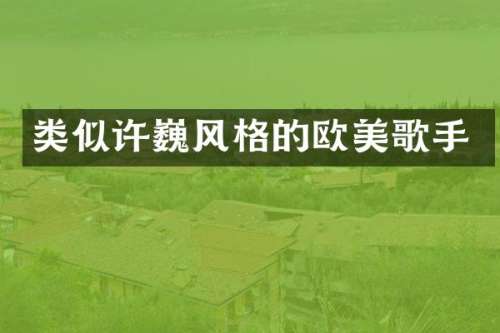 类似许巍风格的欧美歌手