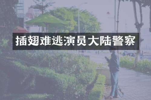 插翅难逃演员大陆警察