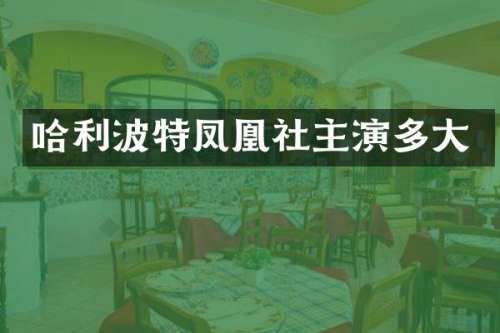 哈利波特凤凰社主演多大