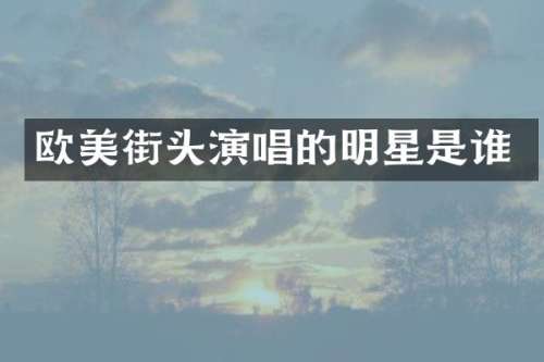欧美街头演唱的明星是谁
