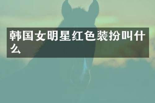 韩国女明星红色装扮叫什么