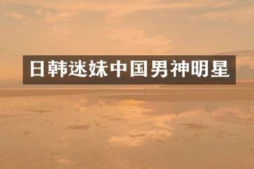 日韩迷妹中国男神明星