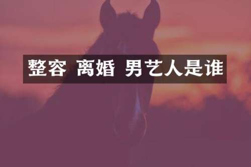 整容 离婚 男艺人是谁