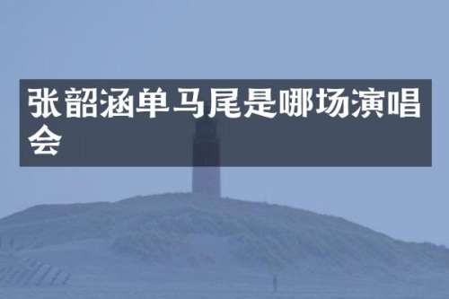 张韶涵单马尾是哪场演唱会