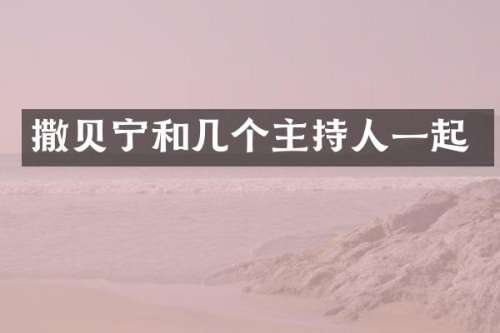 撒贝宁和几个主持人一起