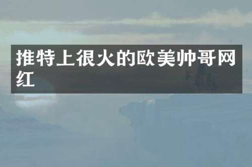 推特上很火的欧美帅哥网红