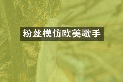 粉丝模仿欧美歌手