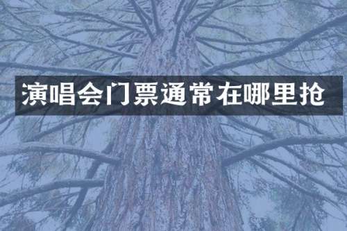 演唱会门票通常在哪里抢