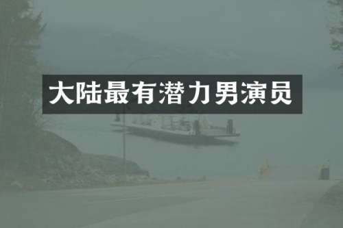 大陆最有潜力男演员