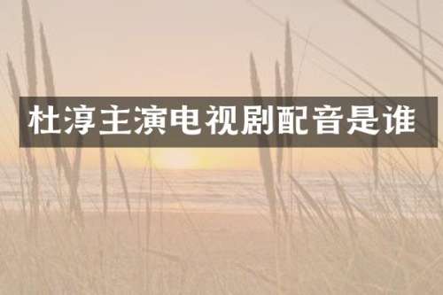 杜淳主演电视剧配音是谁