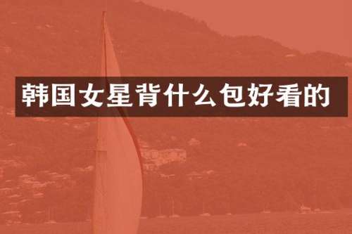 韩国女星背什么包好看的