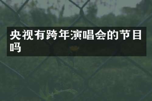 央视有跨年演唱会的节目吗