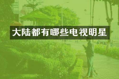 大陆都有哪些电视明星