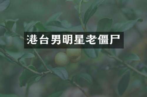 港台男明星老僵尸