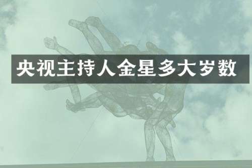 央视主持人金星多大岁数