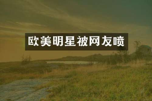 欧美明星被网友喷