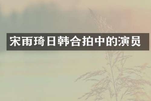 宋雨琦日韩合拍中的演员