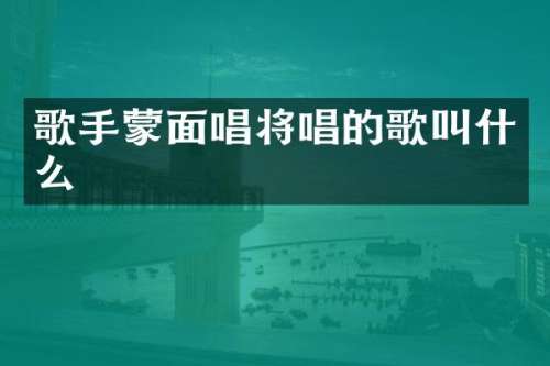 歌手蒙面唱将唱的歌叫什么