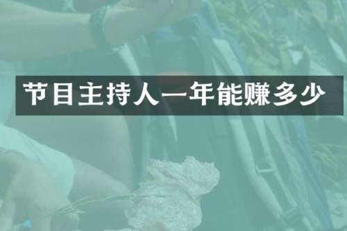 节目主持人一年能赚多少