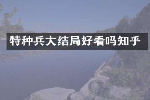特种兵大结局好看吗知乎