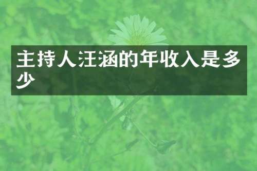 主持人汪涵的年收入是多少