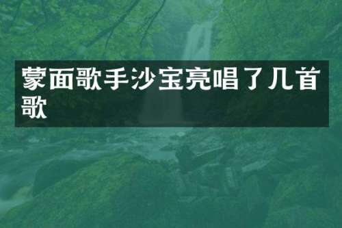 蒙面歌手沙宝亮唱了几首歌