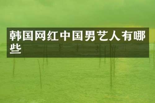 韩国网红中国男艺人有哪些