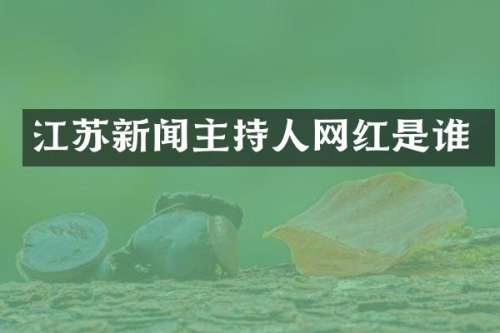 江苏新闻主持人网红是谁