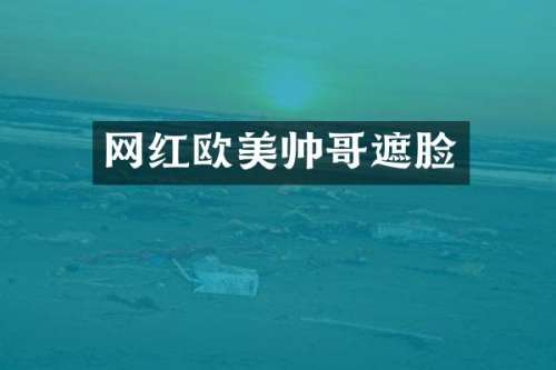 网红欧美帅哥遮脸