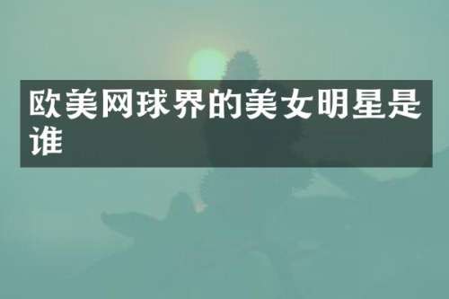 欧美网球界的明星是谁