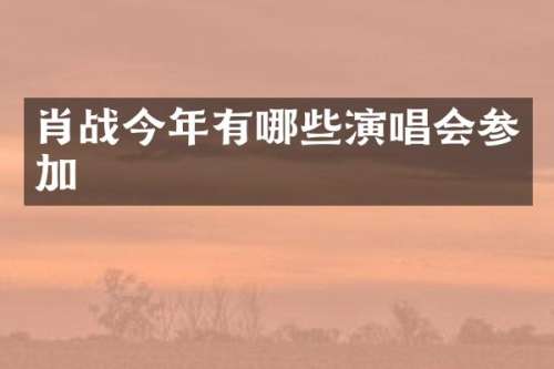 肖战今年有哪些演唱会参加