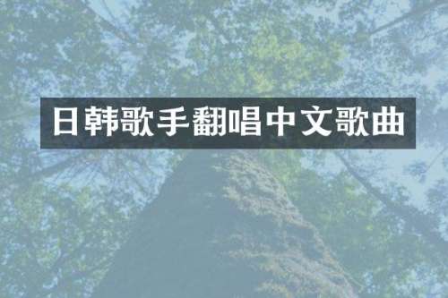 日韩歌手翻唱中文歌曲