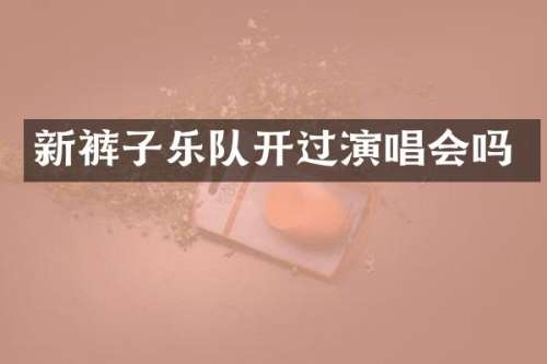 新裤子乐队开过演唱会吗