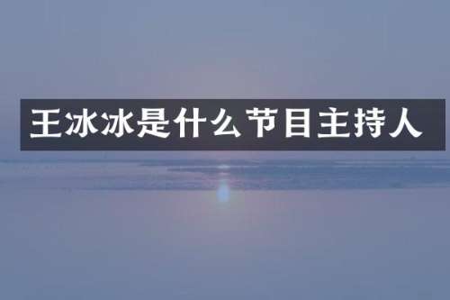 王冰冰是什么节目主持人