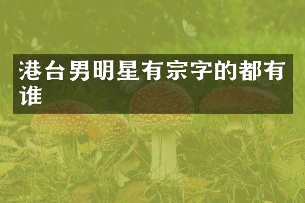 港台男明星有宗字的都有谁