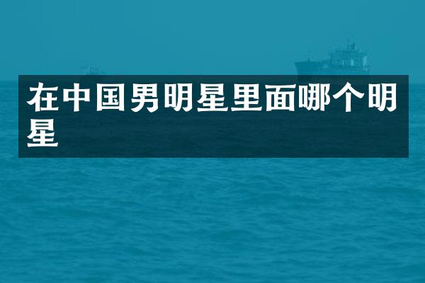 在中国男明星里面哪个明星