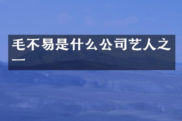 毛不易是什么公司艺人之一