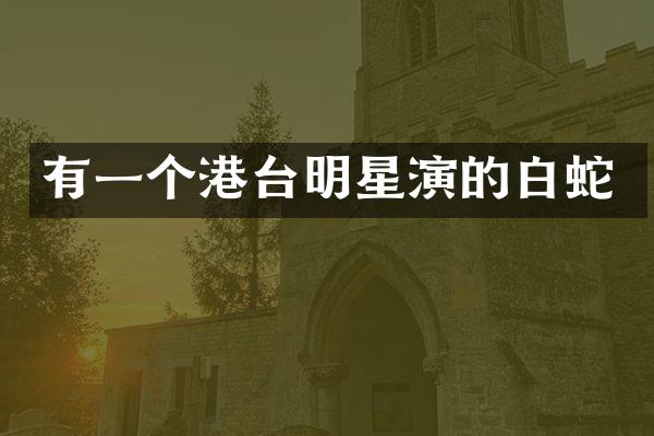 有一个港台明星演的白蛇