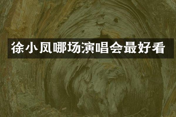 徐小凤哪场演唱会最好看