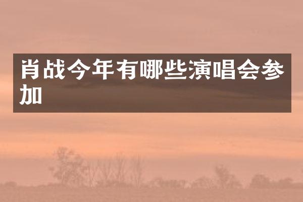 肖战今年有哪些演唱会参加