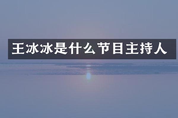 王冰冰是什么节目主持人