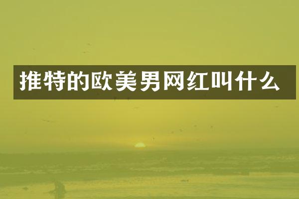 推特的欧美男网红叫什么