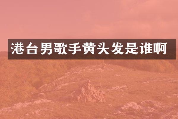 港台男歌手黄头发是谁啊