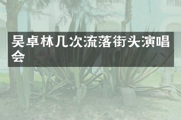 吴卓林几次流落街头演唱会