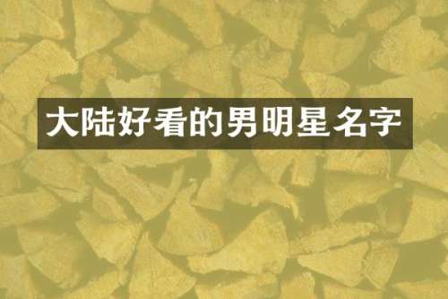 大陆好看的男明星名字