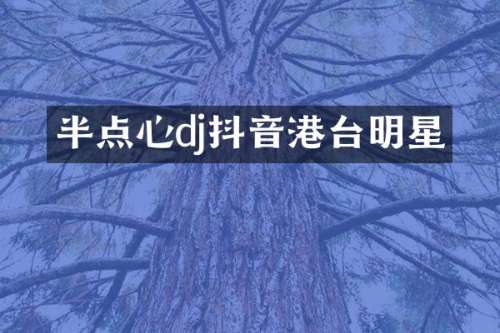 半点心dj抖音港台明星